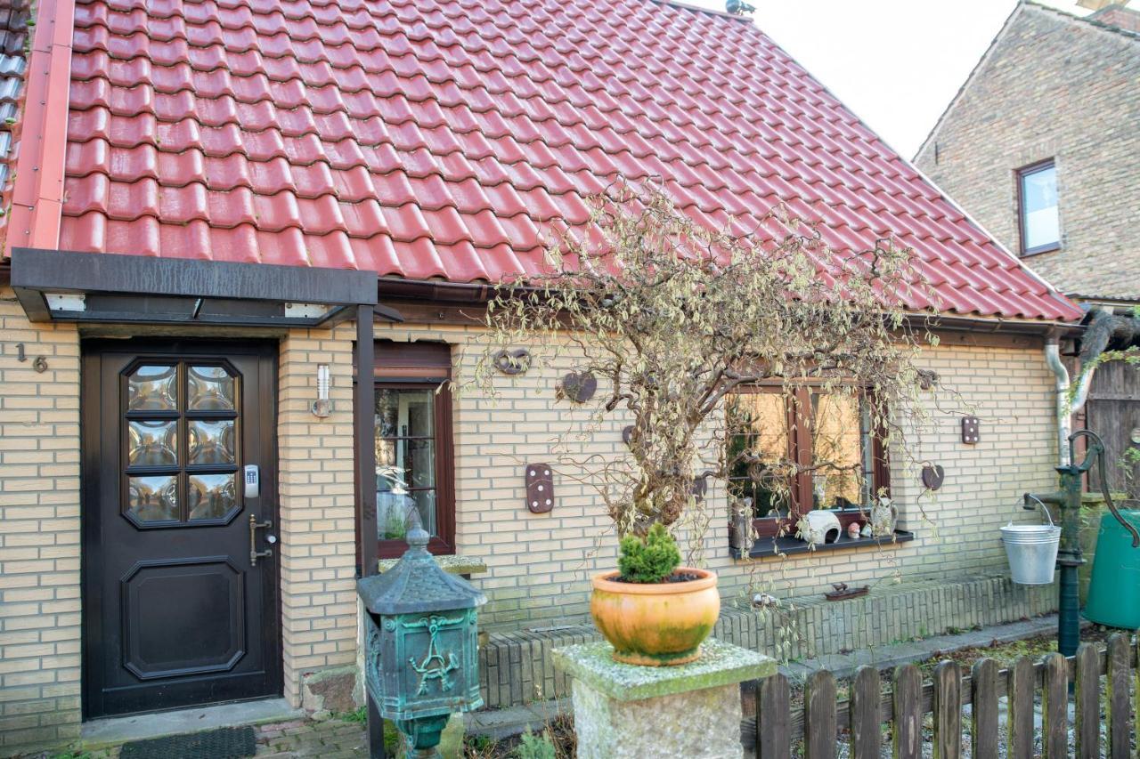 Ferienhaus Am Reiterhof Templin Eksteriør billede